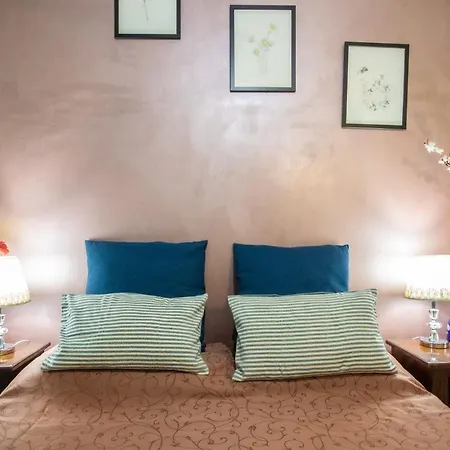 Colorful Yard 2* Rom